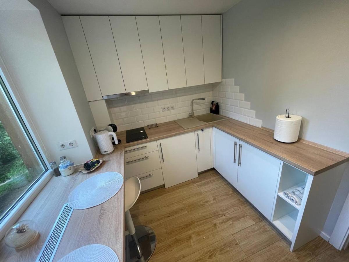 Апартаменты Modern 1Br Haven Near Two Parks Рига Экстерьер фото